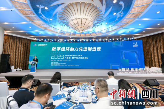 2023興隆湖·數(shù)字經(jīng)濟(jì)發(fā)展論壇現(xiàn)場。新經(jīng)濟(jì)發(fā)展研究院iNED供圖