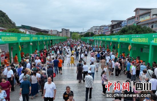  蓬安縣農特產品展示展銷會現(xiàn)場。汪澤民 攝