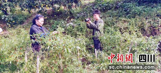 徐世狀正在拍攝短視頻。劉曉梅 攝