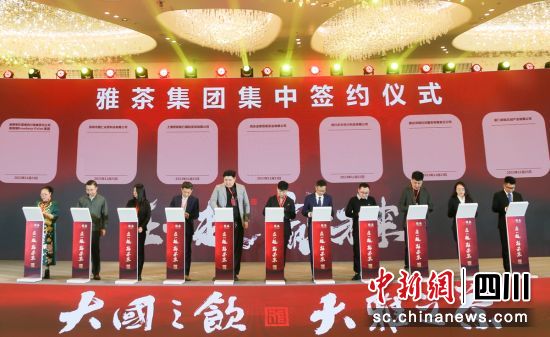 簽約現(xiàn)場。雅茶集團 供圖