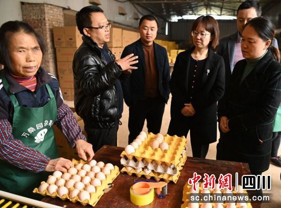 蓬安縣科技服務(wù)團(tuán)的專家和養(yǎng)殖戶進(jìn)行技術(shù)交流。周亮 攝