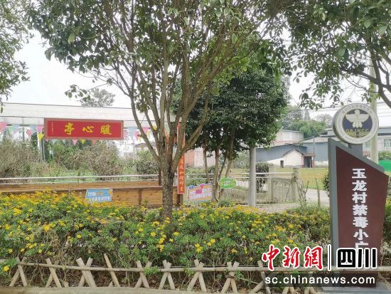  打造的禁毒小廣場(chǎng)。城廂鎮(zhèn) 供圖