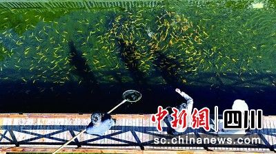 봨hď(zhn)壬TʿI(y)()~F(xin)ָ(do)g(sh)봨hί D