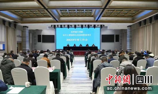 會議現(xiàn)場。彭傳桁 攝 會議現(xiàn)場。彭傳桁 攝