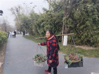 謝洪英挑擔(dān)售賣水果 謝洪英挑擔(dān)售賣水果