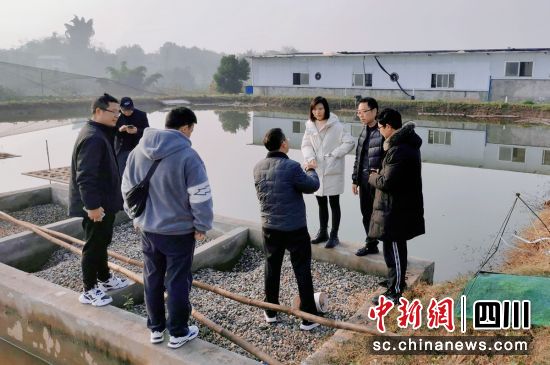 ^WF(xin)ؕý D