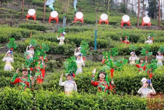 4月5日，首屆“汶川之南有好茶”采茶節(jié)在水磨鎮(zhèn)開啟。