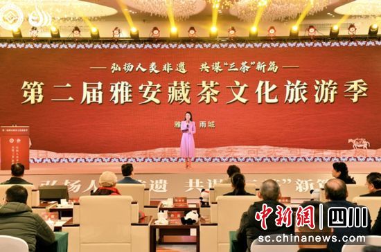 �ز��Ļ����μ�����������ý ���D