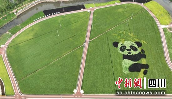 �]���ӼZ�ͬF(xi��n)���r(n��ng)�I(y��)�@�^(q��)�������ý ���D