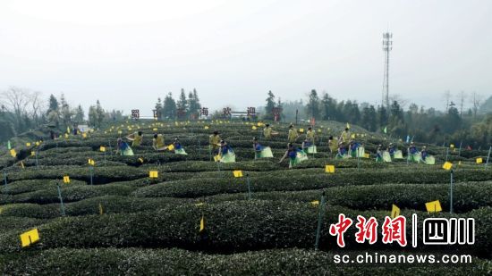ԭ(chung)衶ɽ衷С z