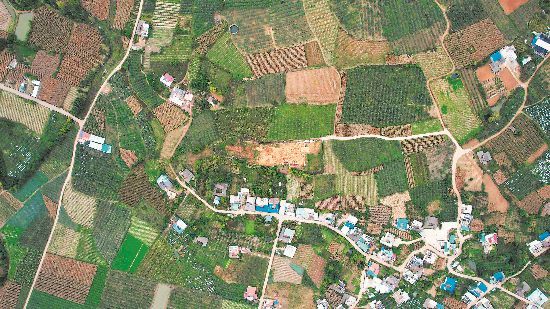 涼山鹽源老龍頭墓地全景及發(fā)掘區(qū) 涼山鹽源老龍頭墓地全景及發(fā)掘區(qū)