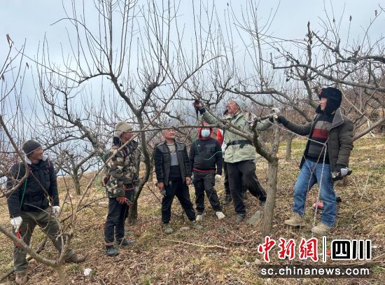 農(nóng)技人員手把手指導(dǎo)村民修剪果樹。汶川縣宣傳部供圖