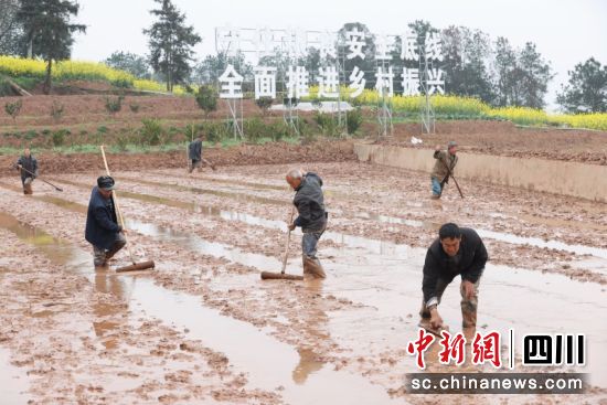  (zhn)ִ壬_չƽӡԴ z