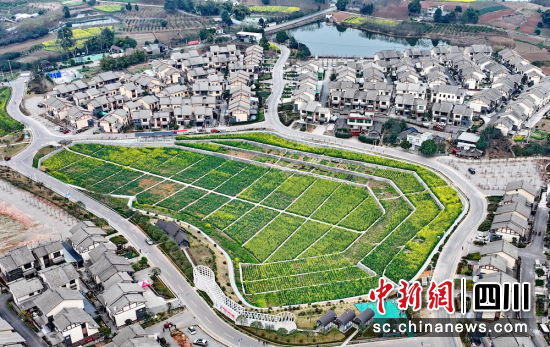 鄉(xiāng)村振興日新月異。永安鎮(zhèn) 供圖