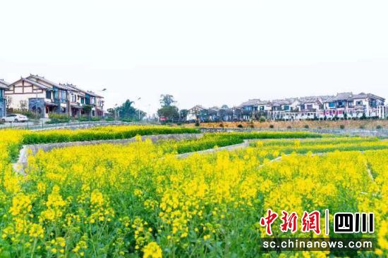春色宜人的永安鎮(zhèn)。永安鎮(zhèn) 供圖