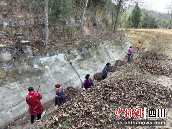 清理溝渠。 梓潼縣融媒體中心供圖