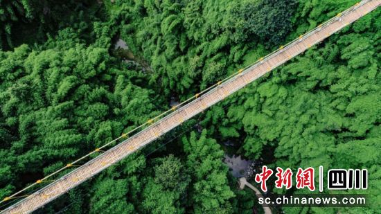 川西竹海景區(qū)。王杰 攝