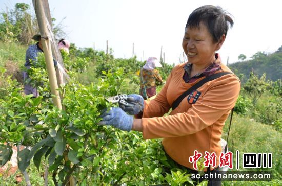 و@޼軨æOW(xu)(qing) z
