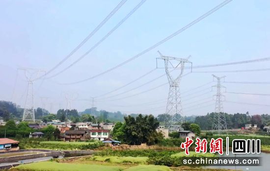 　　放線完成的川渝1000千伏特高壓交流工程丹棱段。陳靜 攝
