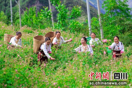 񸻵l(xing)宋СhίD