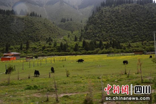 壤塘的城鄉(xiāng)環(huán)境質量顯著提升。壤塘縣委宣傳部供圖