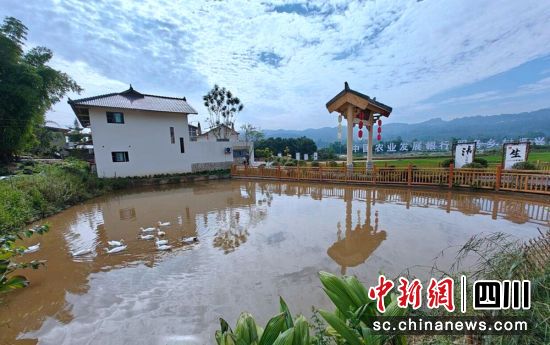 長(zhǎng)山鎮(zhèn)五通壩稻魚(yú)園區(qū)。榮縣融媒 供圖