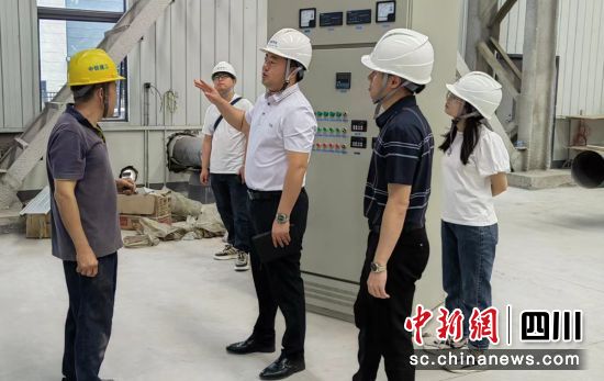 zF(xin)shý D