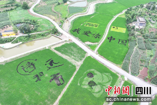 Ͻh(zhn)Ҵߘ(bio)(zhn)ZʾˮM(jn)P(yng)C(j)ȻG箋Fƽ z