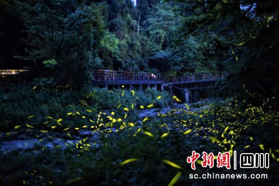 天臺山螢火蟲勝景(成都天臺山旅游景區(qū) 供圖) 天臺山螢火蟲勝景(成都天臺山旅游景區(qū) 供圖)