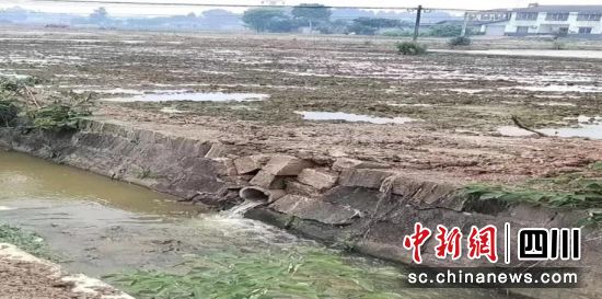 破損的過水涵洞。 羅江區(qū)金山鎮(zhèn)供圖