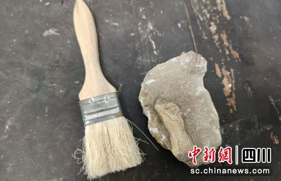 °l(f)F(xin)Ŀʯؕ D