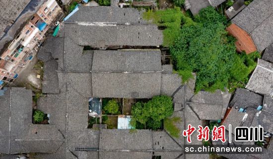 航拍蓆草田五福堂。葉衛(wèi)東 攝