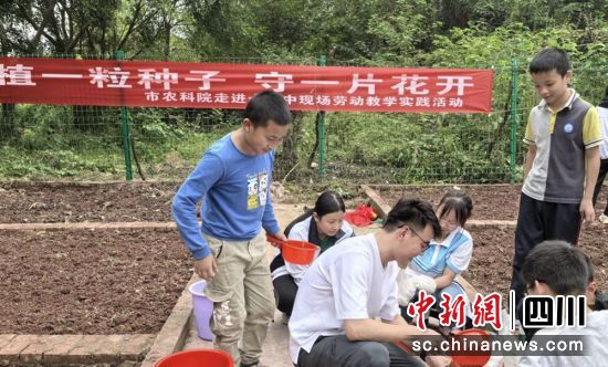 ڄӬF(xin)؞ý D
