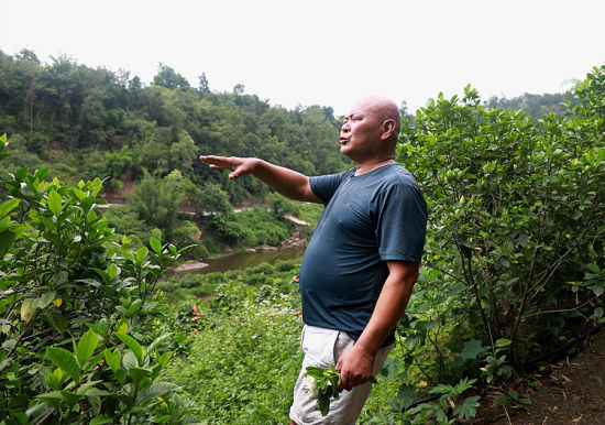 鄧宗均介紹下一步種植計劃 鄧宗均介紹下一步種植計劃