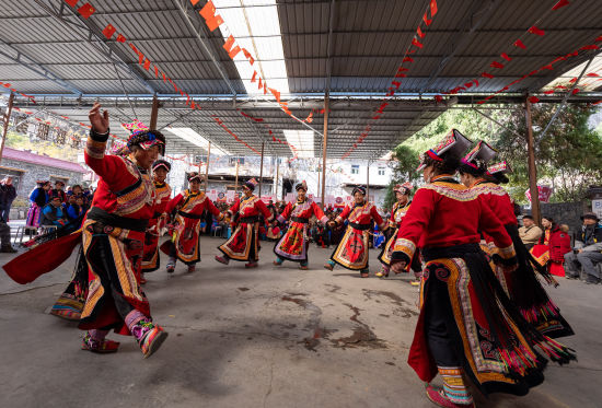 �����_���衷 ���꾰/�z