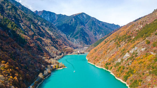 ���οͳ˴��p���� ����/�z