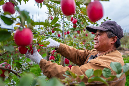 �����r(n��ng)æ��ժ�� ����/�z