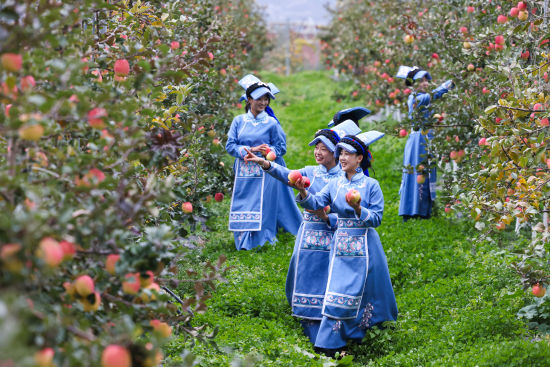 ��Ǽ������ժ�O���� ����/�z 