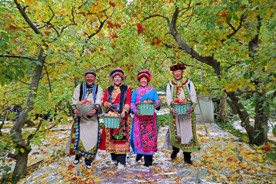 ��ϲ�@�S�ա� ꐳ�/�z