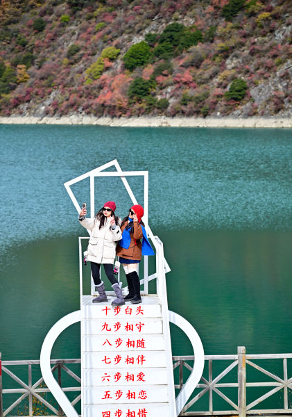 ���ο��پ��^(q��)�_�Ĵ򿨡� ����/�z