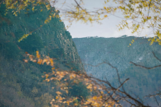 �����ְߔ� ��ƺ�����B(t��i)���́��� �x�Ǐ�(qi��ng)/�z