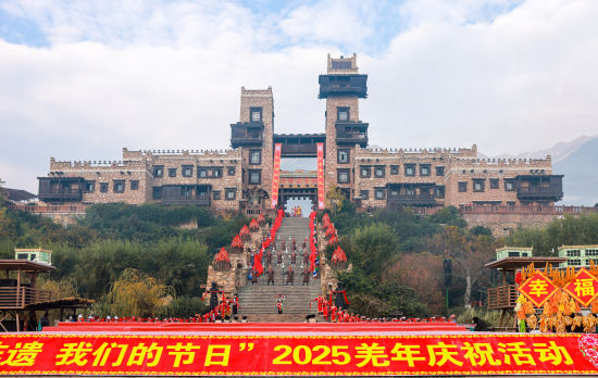 ���_�ǃxʽ�� ������/�z