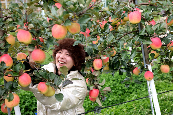 ����ժ���� Ҧ����/�z