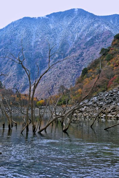 ��ī���� ���M/�z