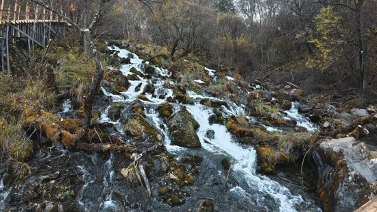 ����(m��ng)�Ñ����� ����/�z