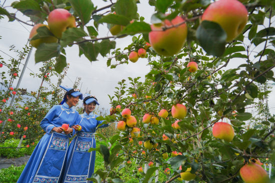 ���O����ժ��Ȥ�ࡷ ��͢��/�z