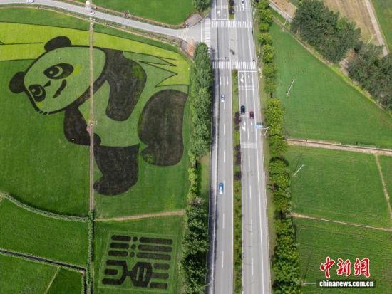 2025��6��25�������Ĵ��ɶ��������츮�Z�}���ҬF(xi��n)���r(n��ng)�I(y��)�a(ch��n)�I(y��)�@��һ�����ʹ���؈�D���Ƕ���f���������g��(�o�˙C(j��)��Ƭ) ӛ�� ���� �z